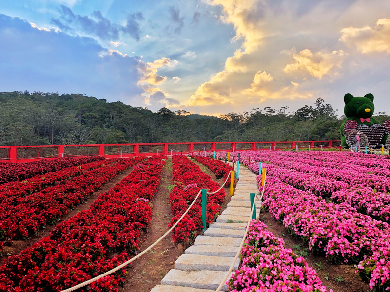 Top 5 địa điểm check in tại Đà Lạt mà bạn không thể bỏ qua 9 Địa điểm check tại Đà Lạt số 4 là "Vườn hoa Đà Lạt"