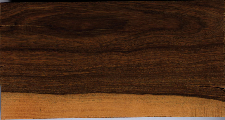 Gỗ Lignum Vitae và các đặc tính của gỗ Lignum Vitae 4 Gỗ Lignum Vitae và các đặc tính của gỗ Lignum Vitae 2