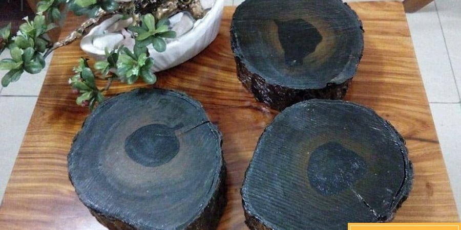 Cây Gỗ Mun - những đặc tính và các loại gỗ mun 21 Hình ảnh gỗ mun đen ngâm nước