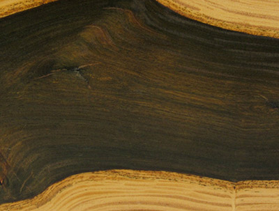Gỗ Lignum Vitae và các đặc tính của gỗ Lignum Vitae 5 Màu gỗ Lignum Vitae