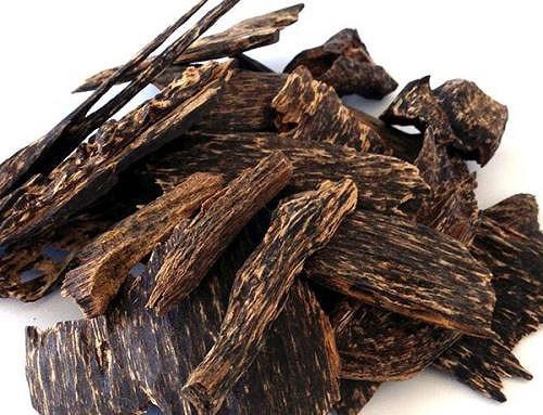 Top 9 loại gỗ có mùi thơm quý hiếm nhất hiện nay 14 Gỗ Trầm Hương