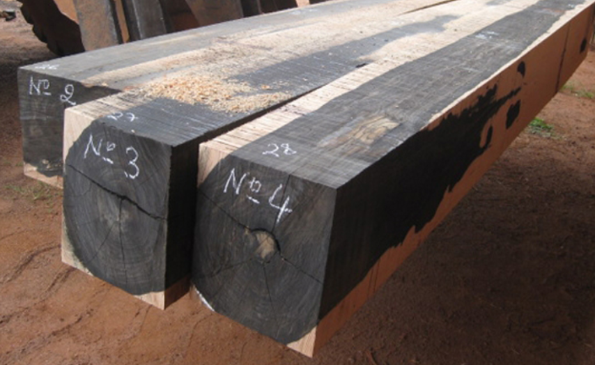 Gỗ sưa đen 3 Hình ảnh gỗ sưa đen