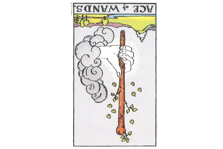 Ý nghĩa lá bài Ace Of Wands trong Tarot theo chuẩn Rider Waite Smith 6 Ý nghĩa ngược của Ace of Wands