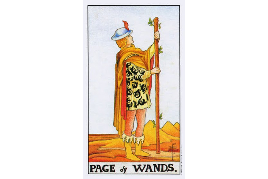 Ý nghĩa lá bài Page Of Wands trong Tarot theo chuẩn Rider Waite Smith 4 Lá bài Page Of Wands trong Tarot theo chuẩn Rider Waite Smith