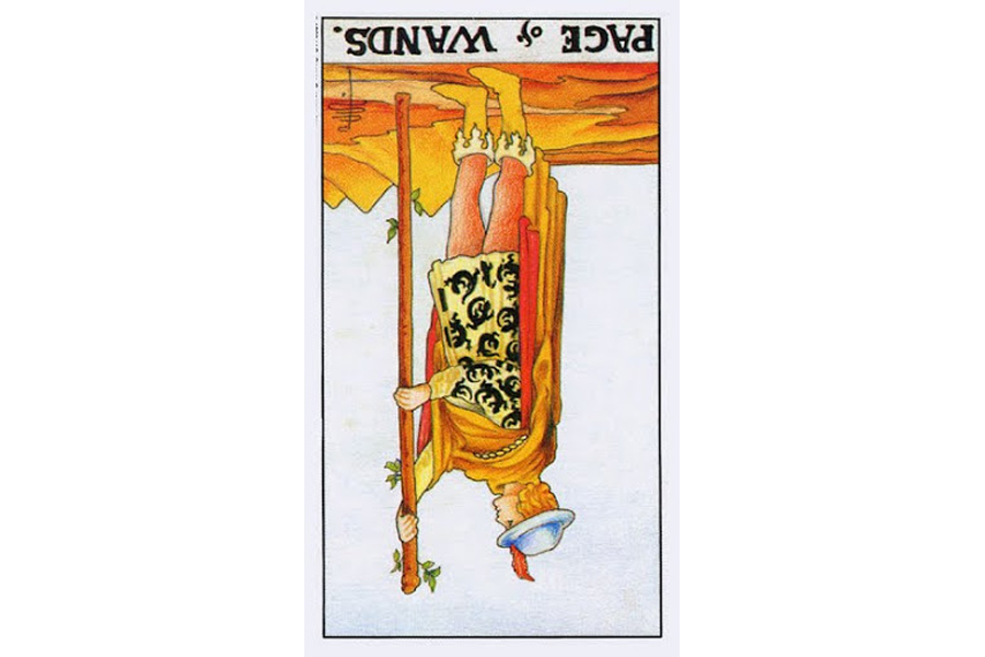 Ý nghĩa lá bài Page Of Wands trong Tarot theo chuẩn Rider Waite Smith 6 Ý nghĩa ngược của Page of Wands