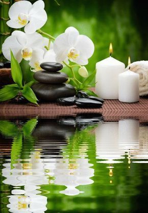 TOP 50+ Hình nền hoa Lan dành cho điện thoại đẹp nhất 65 Hình nền hoa lan dành cho điện thoại màu trắng đẹp