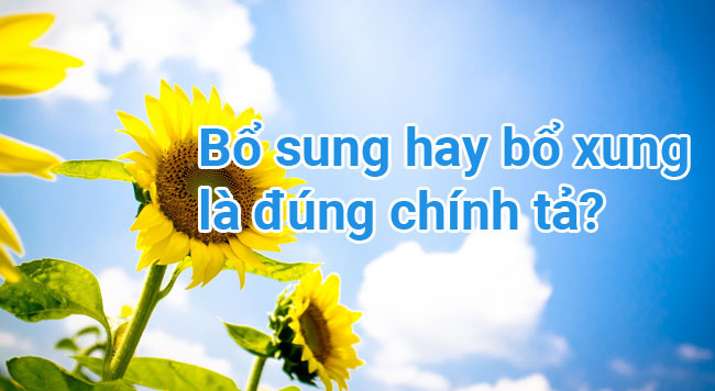 Bổ sung hay bổ xung là đúng chính tả? 4 Bổ sung hay bổ xung là đúng chính tả?