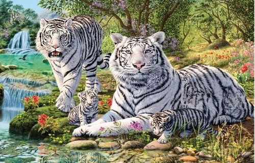 TOP 60+ Hình ảnh hổ 3D đẹp, siêu chất, siêu ngầu đầy dũng mãnh, thể hiện cá tính mạnh mẽ 93 Bộ 2 con hổ trắng 3D đẹp