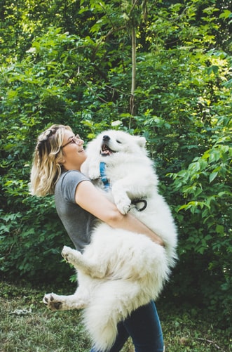 Top 50 Hình ảnh chó đẹp, Cute, dễ thương, đáng yêu 101 Chú chó trắng đang cười với chủ nhân