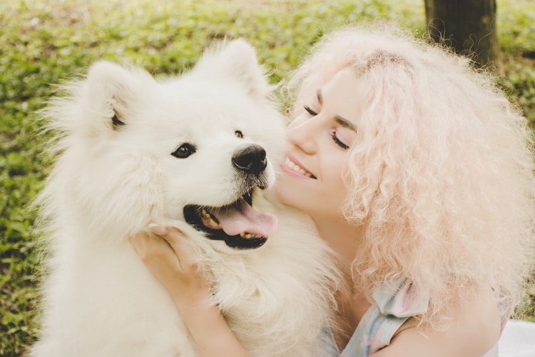 Top 50 Hình ảnh chó đẹp, Cute, dễ thương, đáng yêu 100 Hình ảnh chú chó trắng cười xinh và đẹp