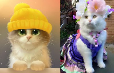 Hình ảnh mèo cute đẹp và đáng yêu