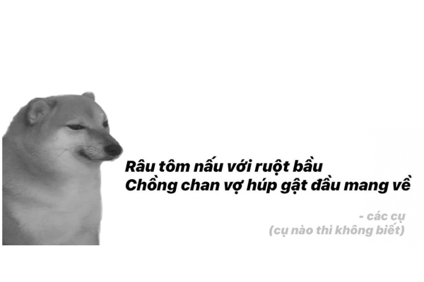 HOT TREND "Học gói mang về" là gì? Mà dân mạng đang đua nhau dùng. 23 Hình ảnh hài hước về câu nói "Học gói mang về"