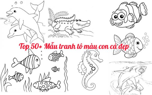Các mẫu tranh tô màu con cá đẹp