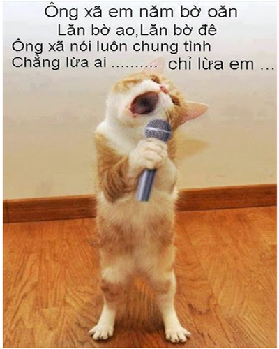 Top 200+ Hình ảnh hài hước bá đạo nhất, độc nhất, lạ nhất hiện nay 86 Hình ảnh hài hước về chú mèo đang hát