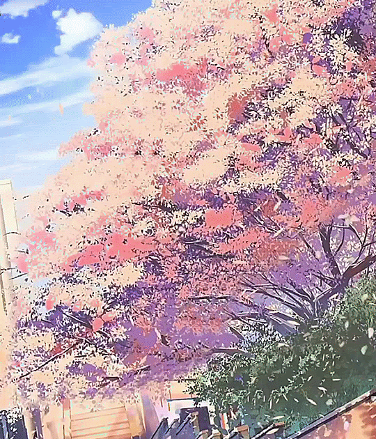 TOP 100+ Hình nền hoa anh đào anime cực đẹp nhất hiện nay %currentyear% 53 TOP 100+ Hình nền hoa anh đào anime cực đẹp nhất hiện nay %currentyear% 52