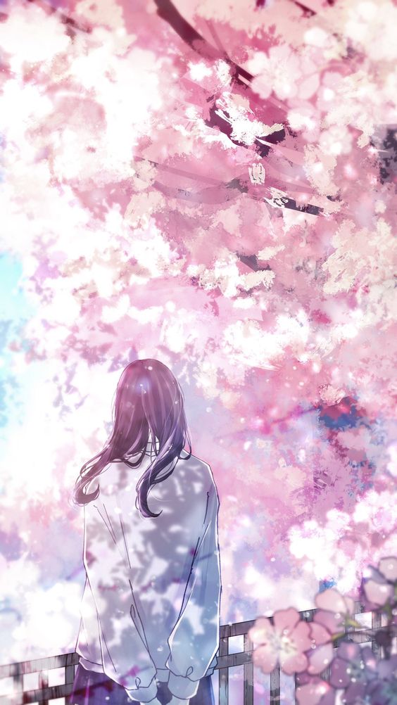 TOP 100+ Hình nền hoa anh đào anime cực đẹp nhất hiện nay %currentyear% 85 TOP 100+ Hình nền hoa anh đào anime cực đẹp nhất hiện nay %currentyear% 83