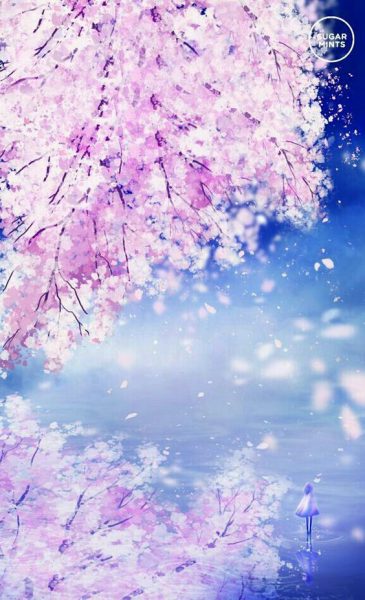 Hình nền hoa anh đào anime đẹp