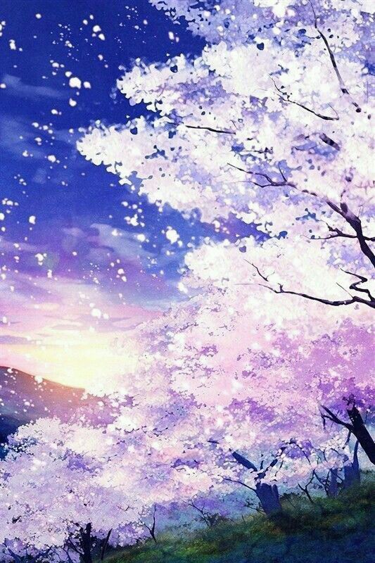 TOP 100+ Hình nền hoa anh đào anime cực đẹp nhất hiện nay %currentyear% 96 TOP 100+ Hình nền hoa anh đào anime cực đẹp nhất hiện nay %currentyear% 94