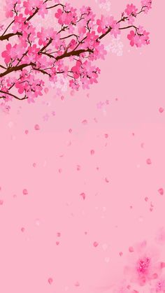 TOP 100+ Hình nền hoa anh đào anime cực đẹp nhất hiện nay %currentyear% 60 TOP 100+ Hình nền hoa anh đào anime cực đẹp nhất hiện nay %currentyear% 58