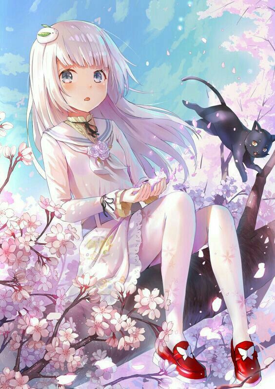 Top 50+ Hình ảnh Anime nữ Lạnh Lùng, Chất ngầu đẹp nhất 89 Top 50+ Hình ảnh Anime nữ Lạnh Lùng, Chất ngầu đẹp nhất 62