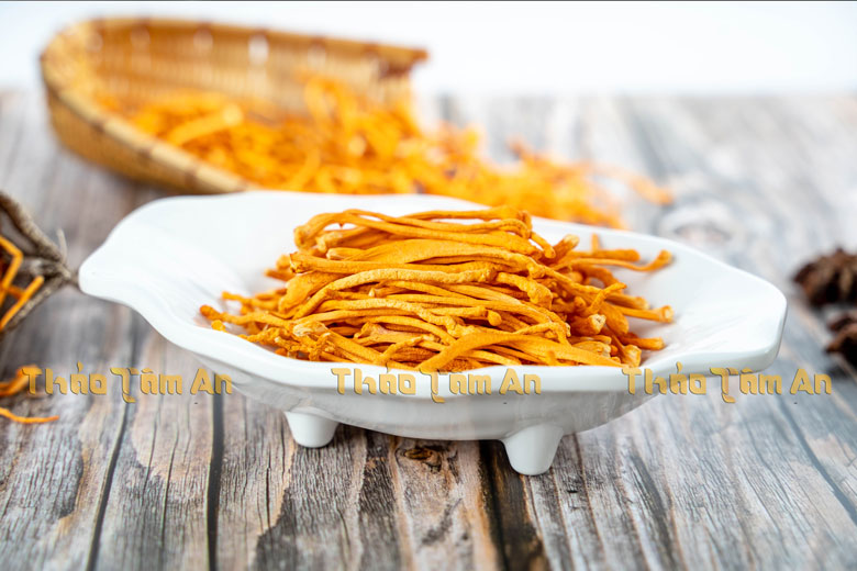 Tổng hợp Hình Ảnh Đông Trùng Hạ Thảo Tươi, Khô, Rượu, Con 19 Hình ảnh Đông trùng hạ thảo khô được sấy từ dạng tươi