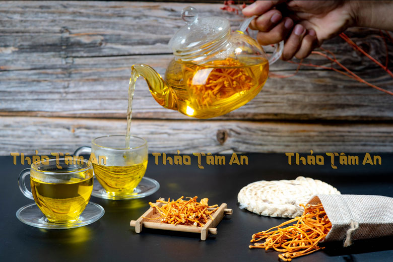Tổng hợp Hình Ảnh Đông Trùng Hạ Thảo Tươi, Khô, Rượu, Con 28 Hình ảnh trà Đông trùng hạ thảo