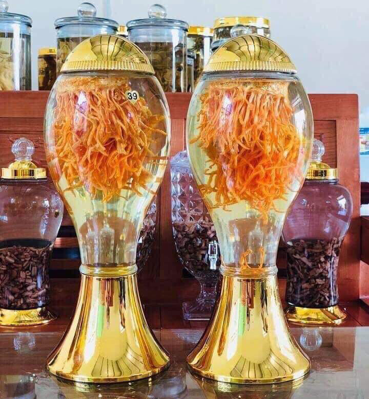 Tổng hợp Hình Ảnh Đông Trùng Hạ Thảo Tươi, Khô, Rượu, Con 25 Hình ảnh rượu ngâm Đông trùng hạ thảo tươi