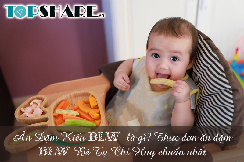 Ăn Dặm Kiểu BLW là gì? Thực đơn Ăn Dặm Kiểu BLW Bé tự chỉ huy chuẩn nhất 6 Ăn Dặm Kiểu BLW là gì? Thực đơn ăn dặm BLW Bé tự chỉ huy chuẩn nhất