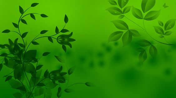 Top 70+ Hình Ảnh Nền Màu Xanh Lá Cây (Xanh Lục) Đẹp Chất Nhất Hiện Nay 61 Hình nền xanh lá cây đẹp