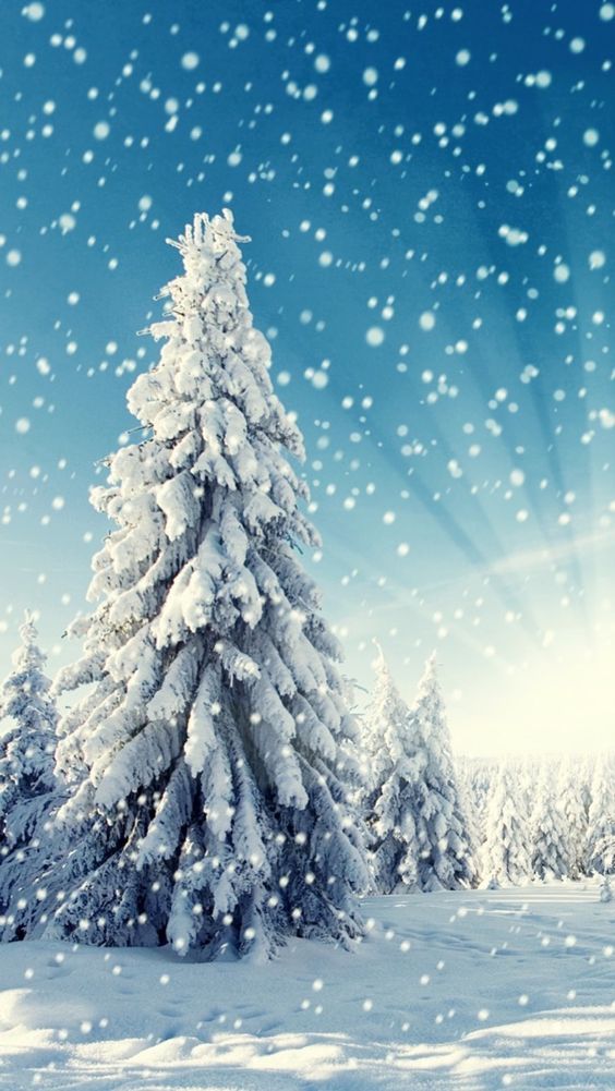 Top 65+ Hình Nền Noel, Giáng Sinh Đẹp Lung Linh Sắc Nét Chất và Ấn Tượng Nhất 71 Top 65+ Hình Nền Noel, Giáng Sinh Đẹp Lung Linh Sắc Nét Chất và Ấn Tượng Nhất 54