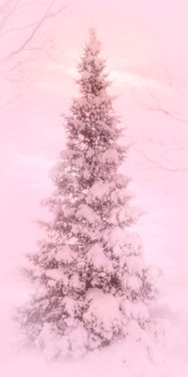 Top 65+ Hình Nền Noel, Giáng Sinh Đẹp Lung Linh Sắc Nét Chất và Ấn Tượng Nhất 79 Top 65+ Hình Nền Noel, Giáng Sinh Đẹp Lung Linh Sắc Nét Chất và Ấn Tượng Nhất 62