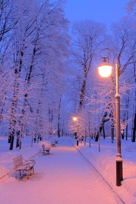 Top 65+ Hình Nền Noel, Giáng Sinh Đẹp Lung Linh Sắc Nét Chất và Ấn Tượng Nhất 80 Top 65+ Hình Nền Noel, Giáng Sinh Đẹp Lung Linh Sắc Nét Chất và Ấn Tượng Nhất 63