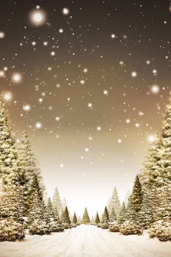 Top 65+ Hình Nền Noel, Giáng Sinh Đẹp Lung Linh Sắc Nét Chất và Ấn Tượng Nhất 90 Hình nền Noel cho IOS