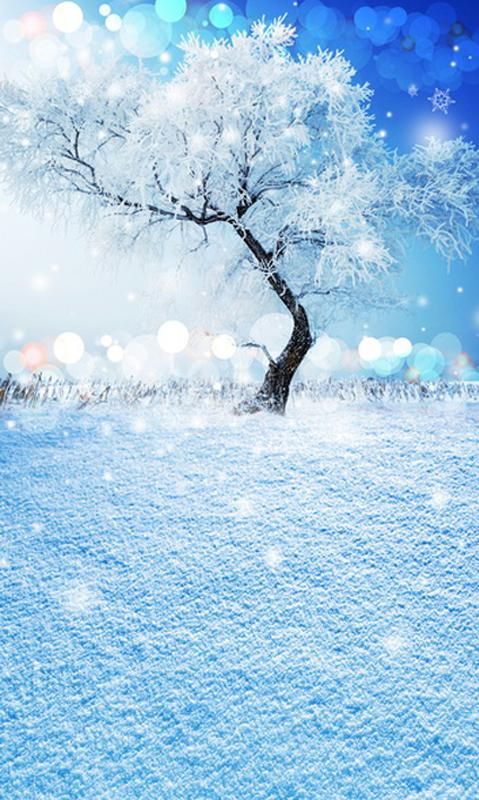 Top 65+ Hình Nền Noel, Giáng Sinh Đẹp Lung Linh Sắc Nét Chất và Ấn Tượng Nhất 95 Hình nền Noel tuyết trắng