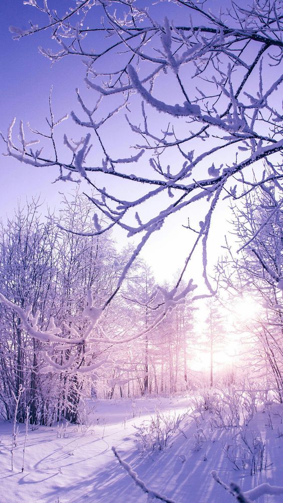 Top 65+ Hình Nền Noel, Giáng Sinh Đẹp Lung Linh Sắc Nét Chất và Ấn Tượng Nhất 64 Hình nền giáng sinh đẹp