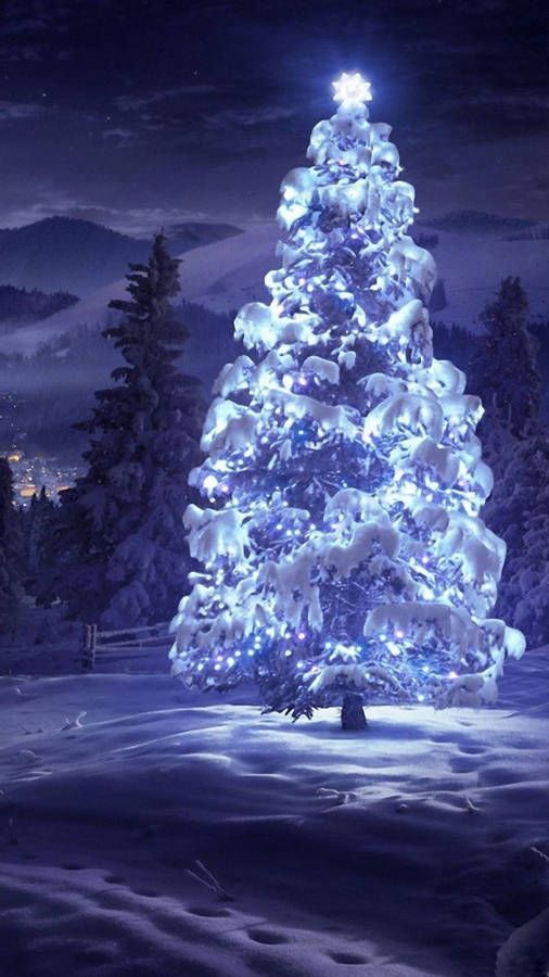Top 65+ Hình Nền Noel, Giáng Sinh Đẹp Lung Linh Sắc Nét Chất và Ấn Tượng Nhất 103 Top 65+ Hình Nền Noel, Giáng Sinh Đẹp Lung Linh Sắc Nét Chất và Ấn Tượng Nhất 82