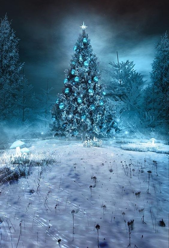 Top 65+ Hình Nền Noel, Giáng Sinh Đẹp Lung Linh Sắc Nét Chất và Ấn Tượng Nhất 105 Hình nền giáng sinh đẹp lung linh