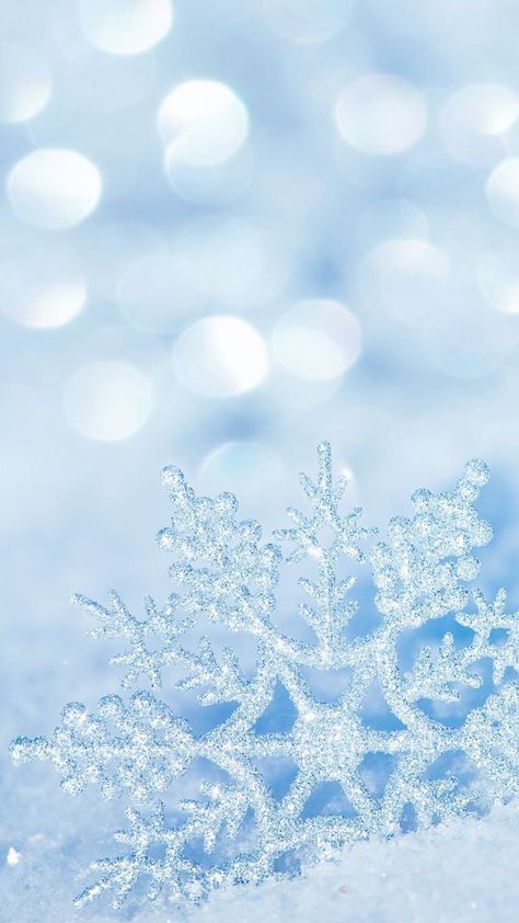 Top 65+ Hình Nền Noel, Giáng Sinh Đẹp Lung Linh Sắc Nét Chất và Ấn Tượng Nhất 110 Top 65+ Hình Nền Noel, Giáng Sinh Đẹp Lung Linh Sắc Nét Chất và Ấn Tượng Nhất 86