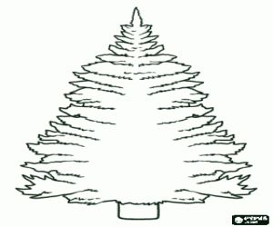 TOP 60+ Mẫu Tranh Tô Màu Cây Thông Noel Đẹp Nhất Cho Bé Yêu 73 TOP 60+ Mẫu Tranh Tô Màu Cây Thông Noel Đẹp Nhất Cho Bé Yêu 70
