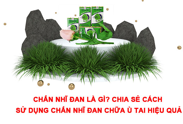 Chấn Nhĩ Đan - Bài thuốc chữa ù tai hiệu quả hiện nay 4 Chấn Nhĩ Đan