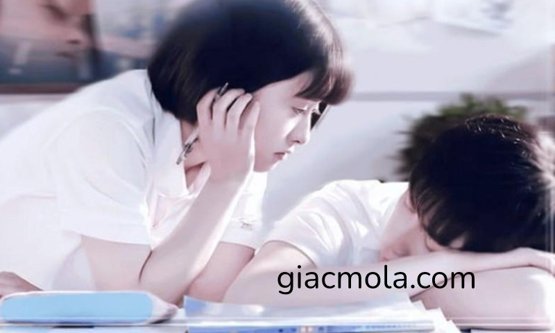 Mơ thấy có người thích mình điềm gì? Nằm mơ thấy có người thích mình đánh số gì? 8 Mơ thấy có người thích mình là điềm gì?