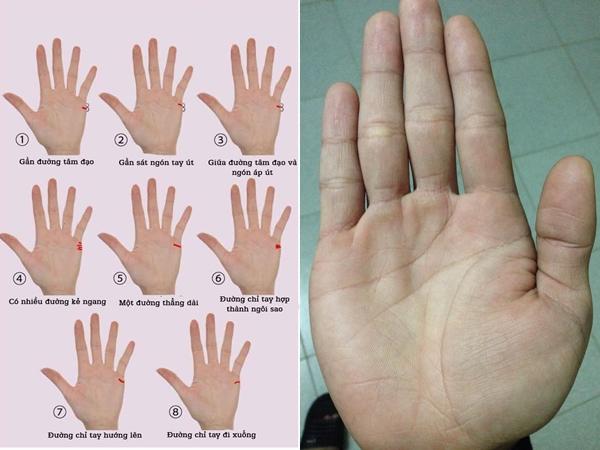 Xem Đường Chỉ Tay Tình Duyên Nam Dự Đoán Hôn Nhân Của Bạn 9 Đường tình duyên chia 2 hướng mang điềm lành hay xấu?