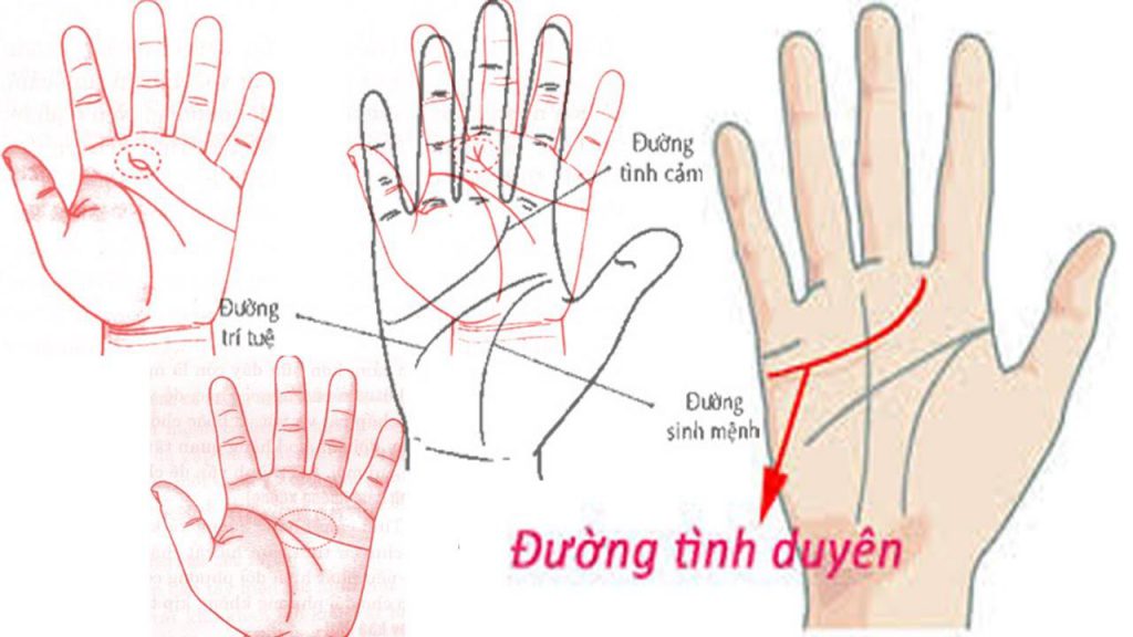 Xem Đường Chỉ Tay Tình Duyên Nam Dự Đoán Hôn Nhân Của Bạn 10 Đường tình duyên – Đóng vai trò quan trọng trong tình cảm, hôn nhân của bạn