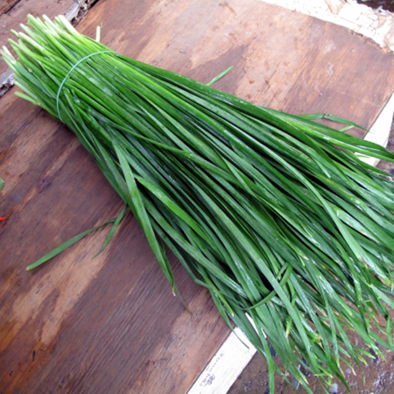 Hẹ - Gia vị cho bữa ăn ngon miệng, nâng cao sức khỏe 7 Các lợi ích thiết thực của lá hẹ mang lại cho con người