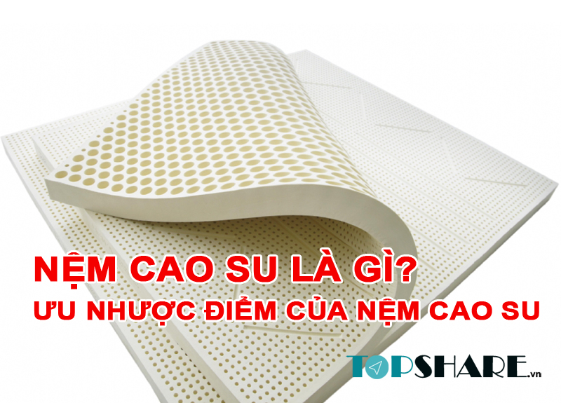 Nệm Cao Su là gì? Ưu nhược điểm của các loại Nệm Cao Su 11 Nệm Cao Su là gì? Ưu nhược điểm của Nệm Cao Su