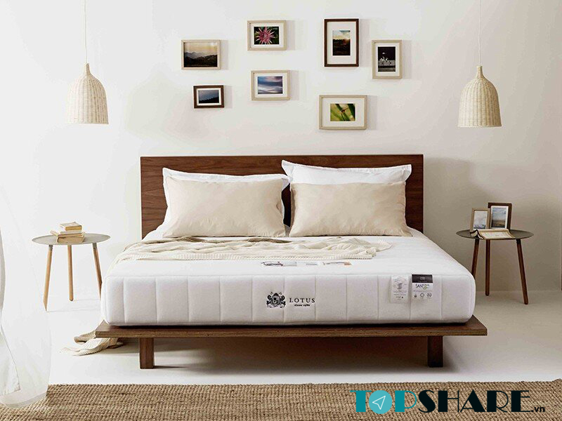 Nệm Lò Xo là gì? Ưu điểm, Phân loại & Báo giá Nệm Lò Xo 26 Nệm lò xo cao cấp Lotus