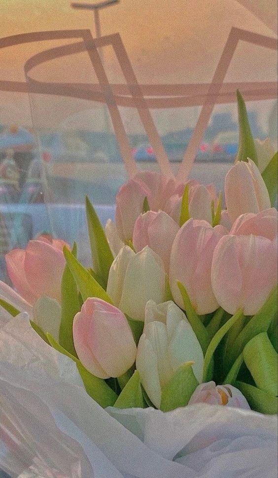 TOP 199+ Hình Nền Hoa Tulip Đẹp Lung Linh, Trang Nhã & Thanh Lịch Nhất Hiện Nay 92 TOP 199+ Hình Nền Hoa Tulip Đẹp Lung Linh, Trang Nhã & Thanh Lịch Nhất Hiện Nay 75