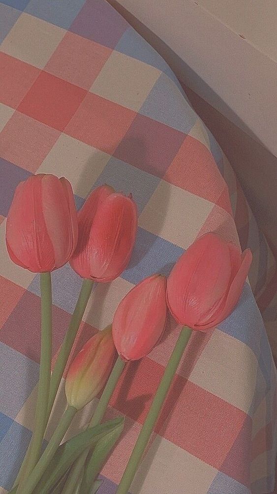 TOP 199+ Hình Nền Hoa Tulip Đẹp Lung Linh, Trang Nhã & Thanh Lịch Nhất Hiện Nay 97 TOP 199+ Hình Nền Hoa Tulip Đẹp Lung Linh, Trang Nhã & Thanh Lịch Nhất Hiện Nay 80