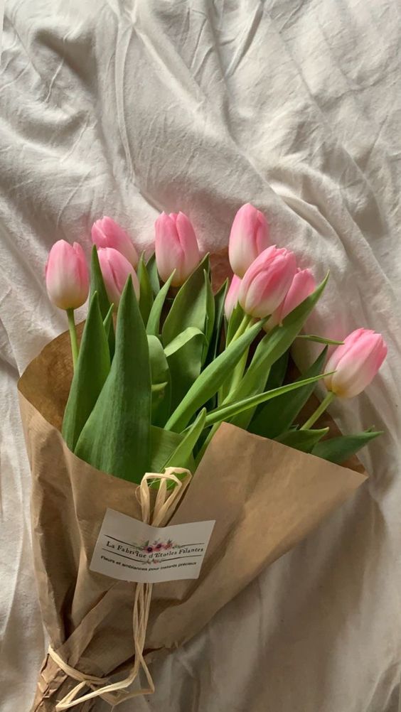 TOP 199+ Hình Nền Hoa Tulip Đẹp Lung Linh, Trang Nhã & Thanh Lịch Nhất Hiện Nay 113 TOP 199+ Hình Nền Hoa Tulip Đẹp Lung Linh, Trang Nhã & Thanh Lịch Nhất Hiện Nay 95