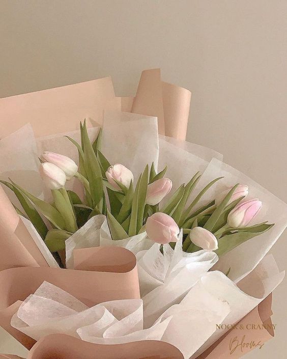 TOP 199+ Hình Nền Hoa Tulip Đẹp Lung Linh, Trang Nhã & Thanh Lịch Nhất Hiện Nay 114 TOP 199+ Hình Nền Hoa Tulip Đẹp Lung Linh, Trang Nhã & Thanh Lịch Nhất Hiện Nay 96